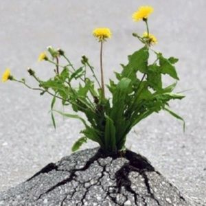 Meet your Posher, Kerry